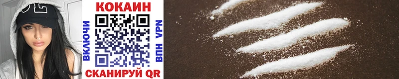 Купить закладки  Северобайкальск  Cocaine Fish Scale 