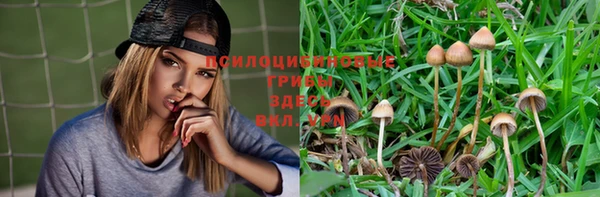 метамфетамин Инсар